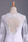 Long Sleeves V Neck Open Back Wedding Dresses Tulle With Applique Sheath