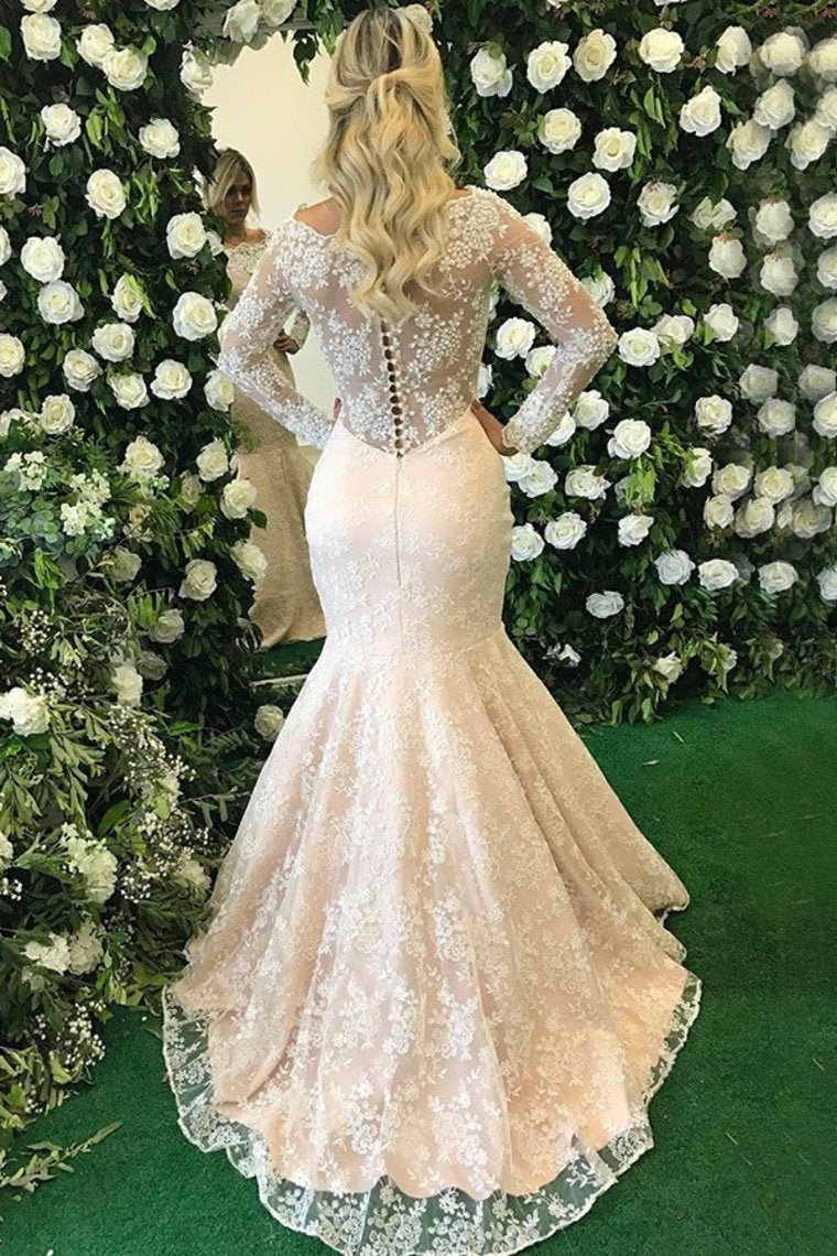Long Sleeves Scoop Mother Of The Bride Dresses Mermaid Lace With Applique