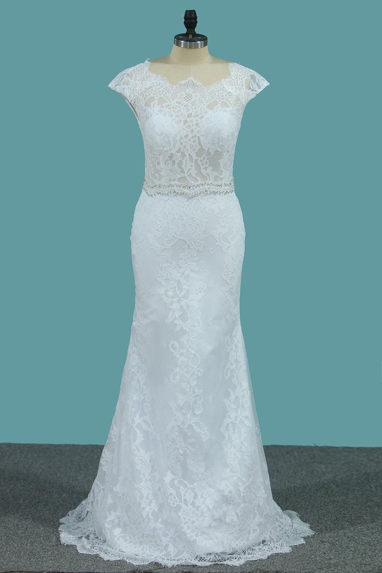 Lace Wedding Dresses Scoop With Beaded Waistline Covered Button Open Back