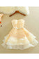 Organza Strapless A Line Homecoming Dresses With Applique And Sash