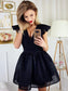A-Line V-Neck Sleeveless Black Homecoming Dresses Winifred Tulle Short CD1657