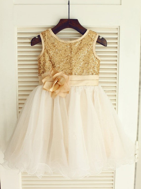Sleeveless Sequin Scoop A-line/Princess Long Organza Dresses