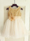 Sleeveless Sequin Scoop A-line/Princess Long Organza Dresses