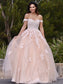 Applique A-Line/Princess Off-the-Shoulder Tulle Sleeveless Floor-Length Dresses