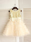 Bowknot Scoop Sleeveless A-line/Princess Long Tulle Dresses