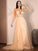 Applique V-neck A-Line/Princess Sweep/Brush Lace Sleeveless Train Wedding Dresses
