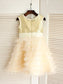 Bowknot Scoop Sleeveless A-line/Princess Long Tulle Dresses