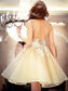 A-Line/Princess Scoop Jessie Sleeveless Applique Short/Mini Organza Dresses Homecoming Dresses