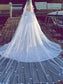Tulle V-neck Gown Chapel Sleeveless Ball Train Wedding Dresses