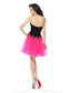 A-Line/Princess Homecoming Dresses Sweetheart Lace Sleeveless Adyson Short Net Cocktail Dresses