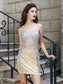 Sheath/Column Homecoming Dresses Spaghetti Charlize Straps Net Sleeveless Sequin Short/Mini Dresses